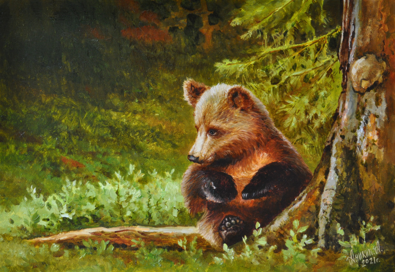 Картина Медвежонок